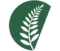white fern logo